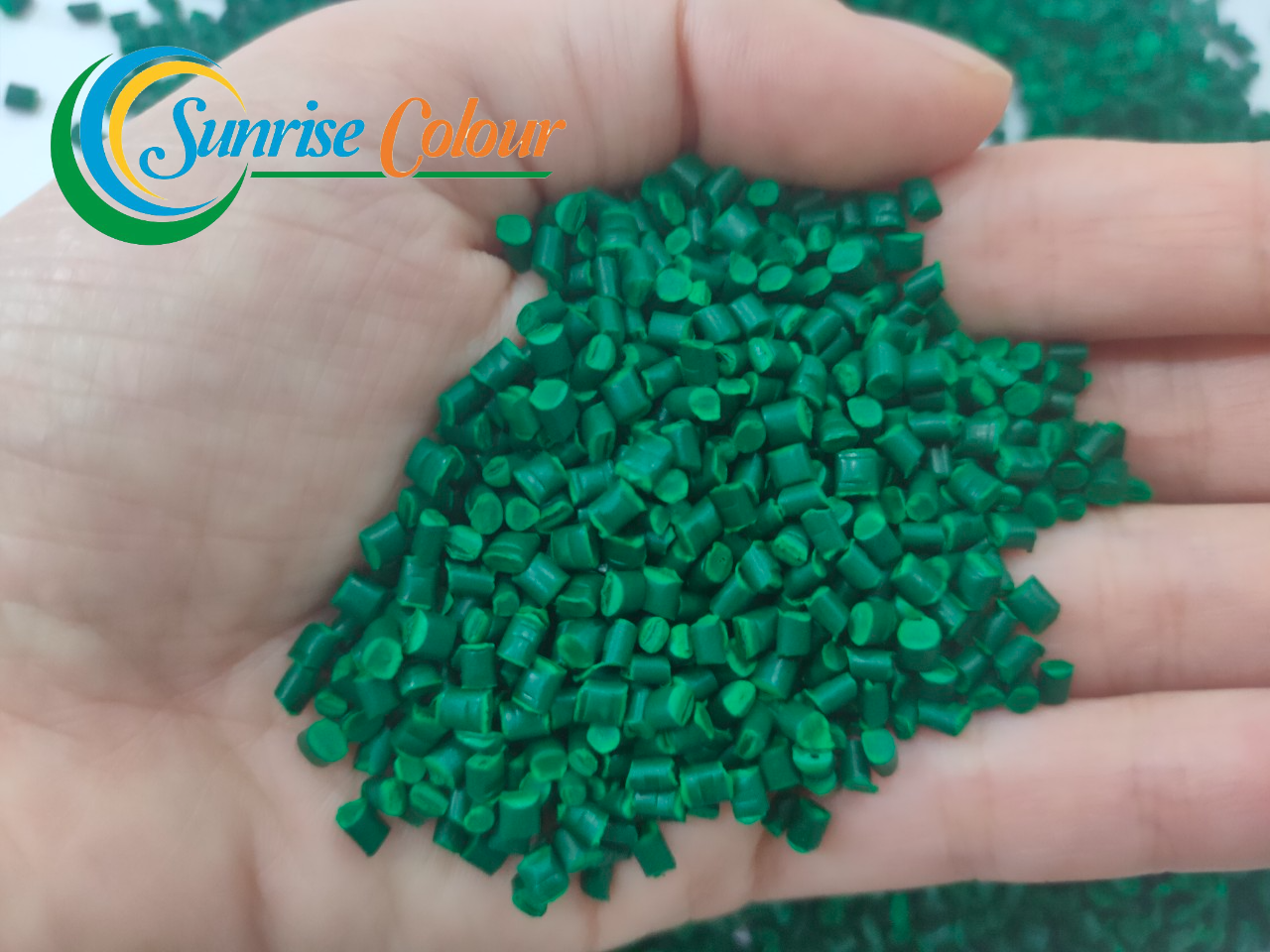 imageonline-co-logo 추가 (3)